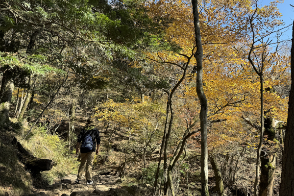 紅葉狩り/新越建設/木の家/工務店/自然素材/鹿屋市/志布志市/曽於市