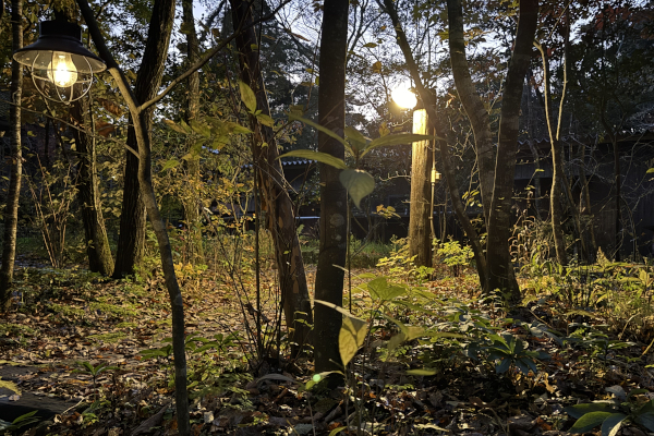 雑木林/電球色/木の家/新越建設/鹿屋市/志布志市/曽於市/工務店