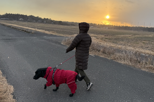 黒ラブ/ルル/木の家/工務店/新越建設/鹿屋市/曽於市