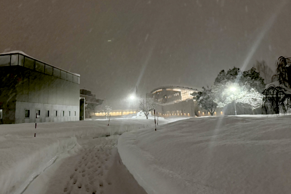 雪国/木の家/新越建設/鹿屋市/曽於市